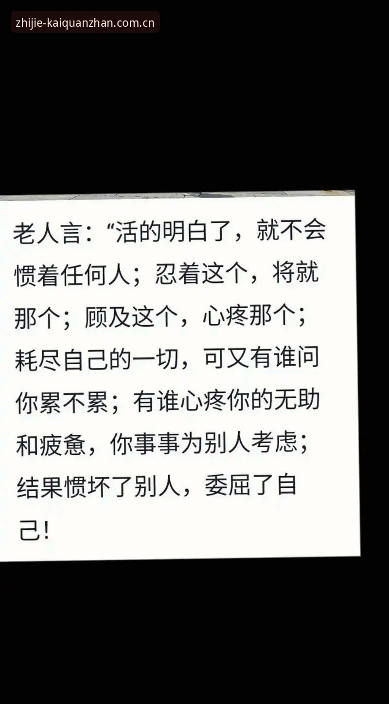 从容直达主页中文版 那些急着问“登录不上”的人,可能没搞懂这版更新的真实意图